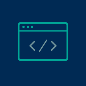 Web Application Security Testing