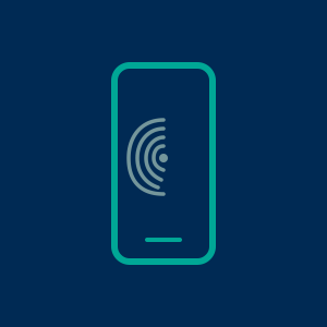 Mobile Application Security Testing