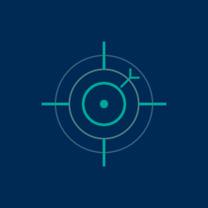 Network VAPT